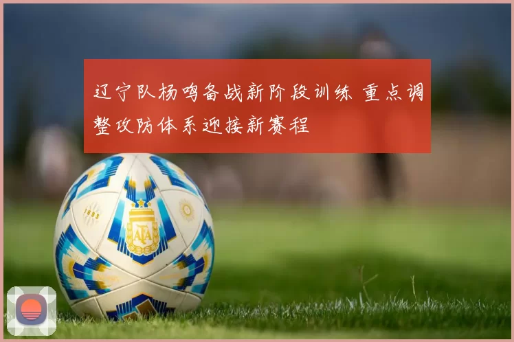 辽宁队杨鸣备战新阶段训练 重点调整攻防体系迎接新赛程