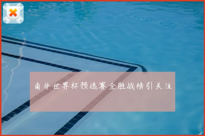 南非世界杯预选赛全胜战绩引关注